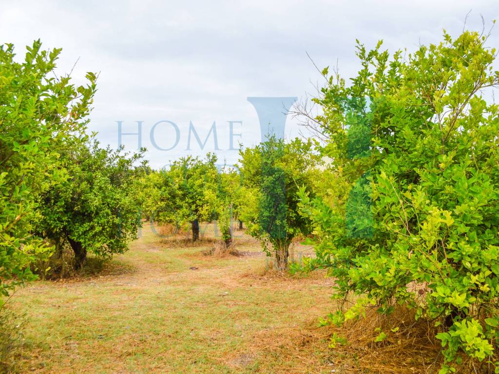Rustico / casale a Noto - Foto 3
