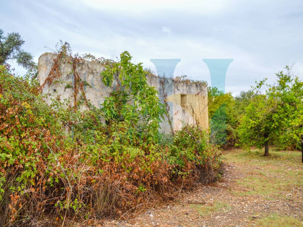 Rustico / casale a Noto - Foto 5