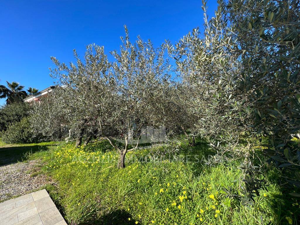 Villa a Alghero in Strada Vicinale di Garrone, 109 - Foto 5