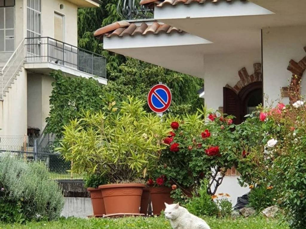 Villa a Almese in VIA RUBIANA, 142/2 - Foto 3