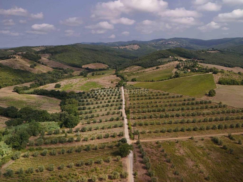 Terreno a Roccastrada in Via della Collacchia - Foto 2