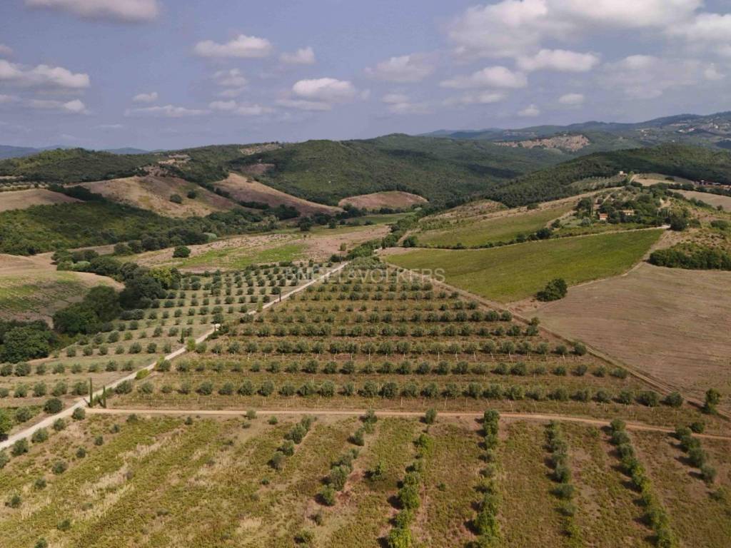 Terreno a Roccastrada in Via della Collacchia - Foto 5