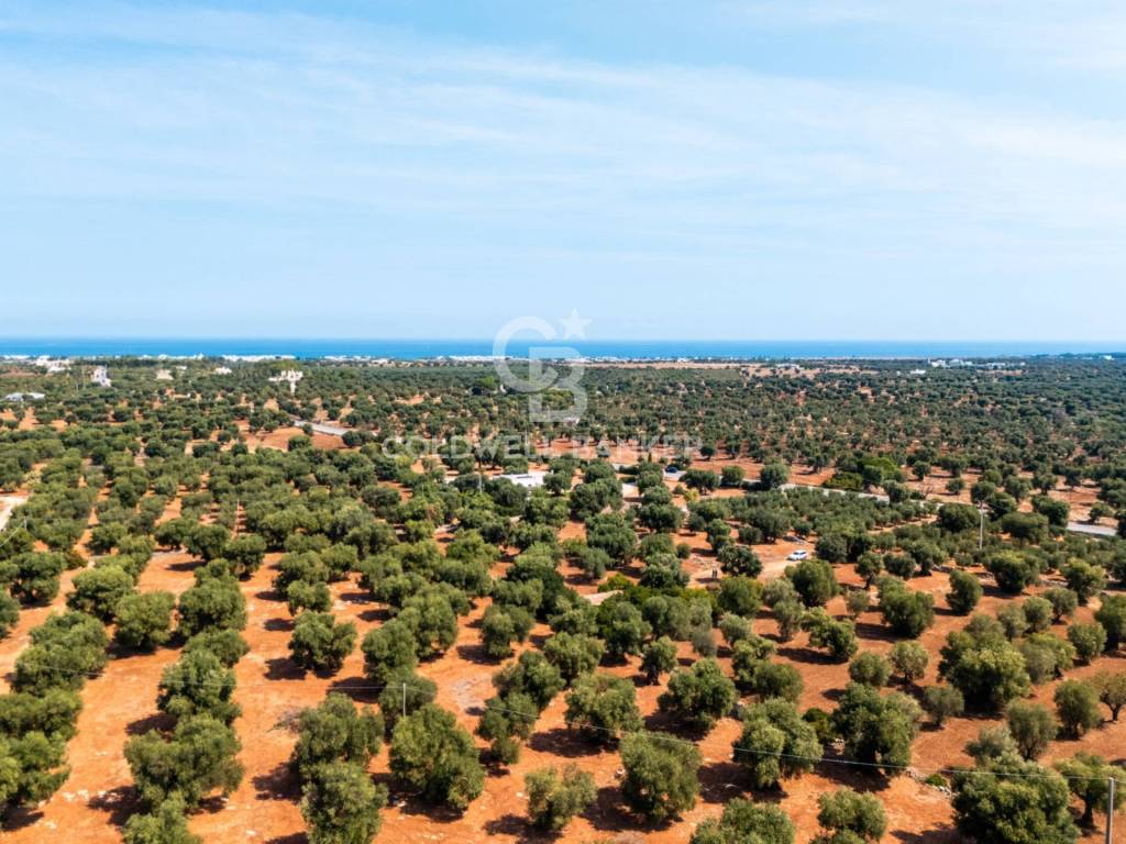 Terreno a Ostuni in Contrada Sant'Oronzo - Foto 4