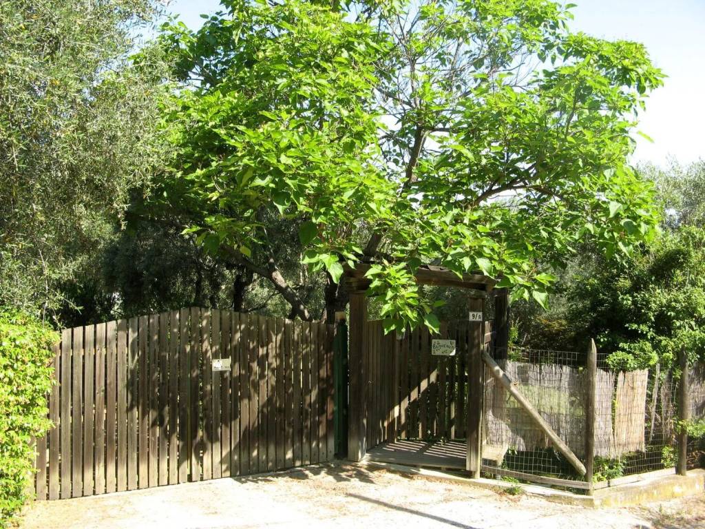 Villa a Pescara - Foto 2