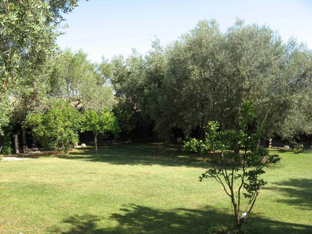 Villa a Pescara - Foto 4