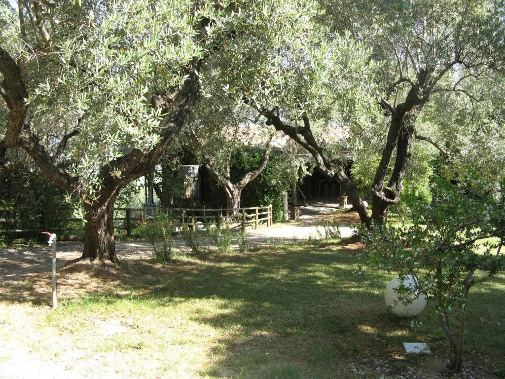 Villa a Pescara - Foto 5