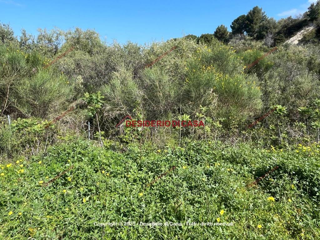 Terreno a Campofelice di roccella in Via Re Ruggero II, 3 - Foto 2