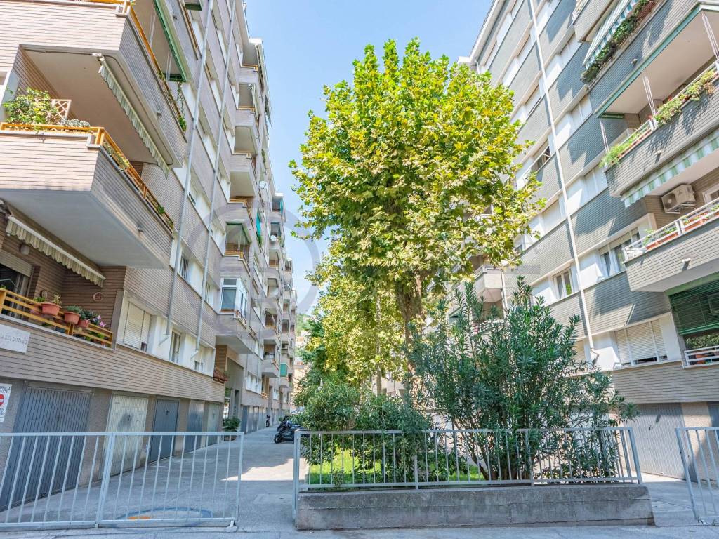 Appartamento a Trieste in Via del Dittamo, 2 - Foto 2