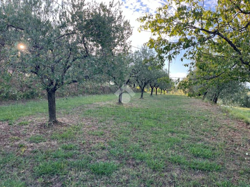 Terreno a Pescia in Via dei Colletti, 42 - Foto 2