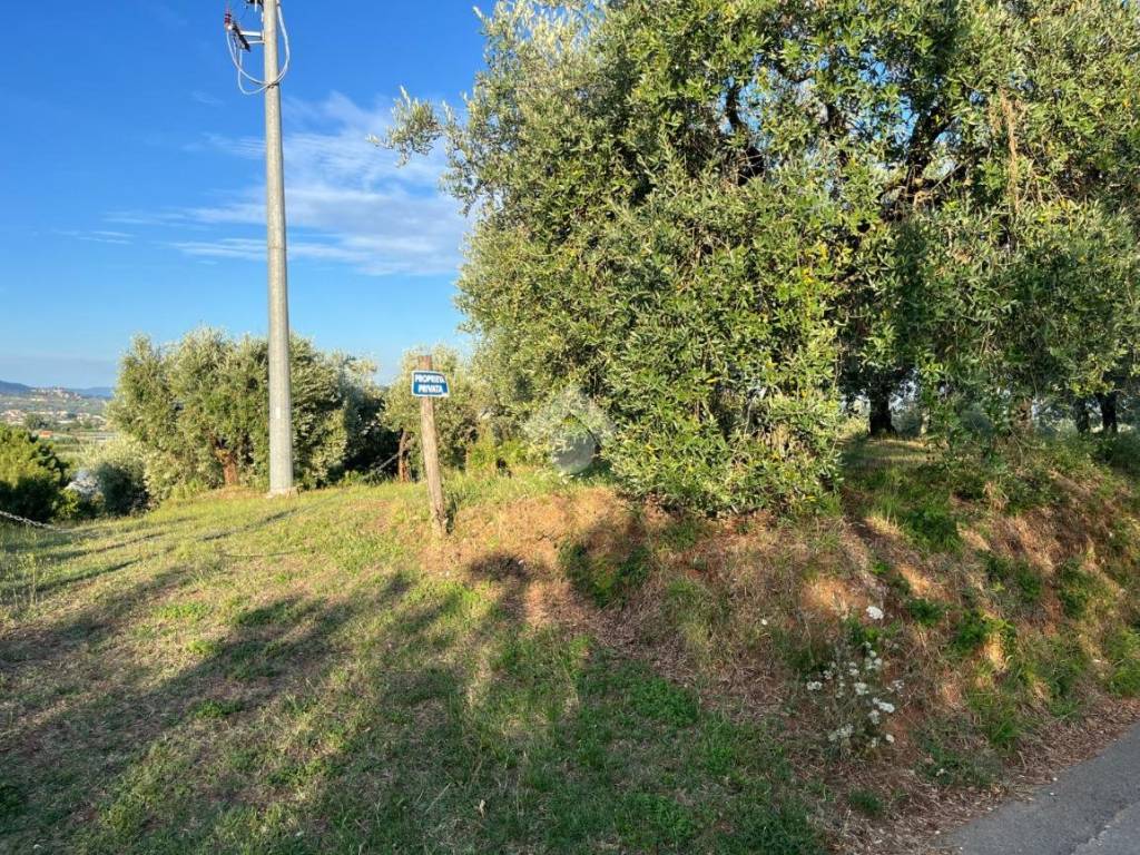 Terreno a Pescia in Via dei Colletti, 42 - Foto 3