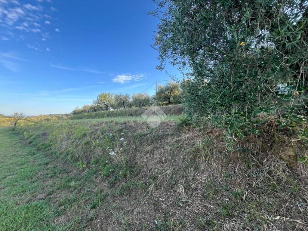 Terreno a Pescia in Via dei Colletti, 42 - Foto 5