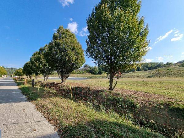 Appartamento a Asti in Frazione Mombarone - Foto 2