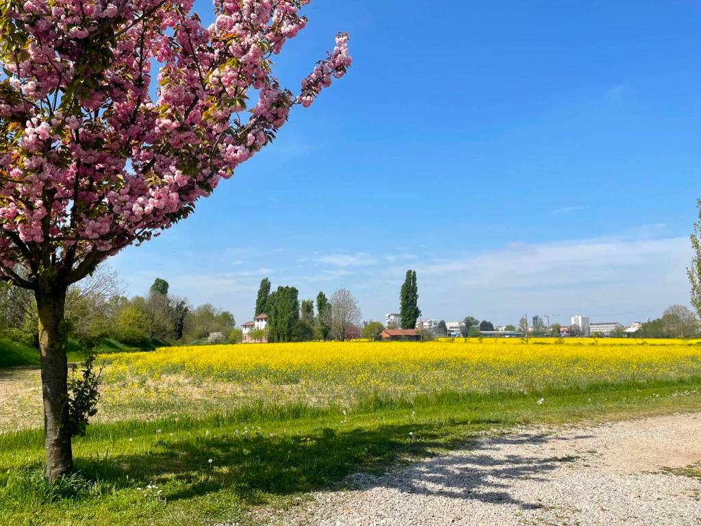 Villa a Lodi in SP23 - Foto 5