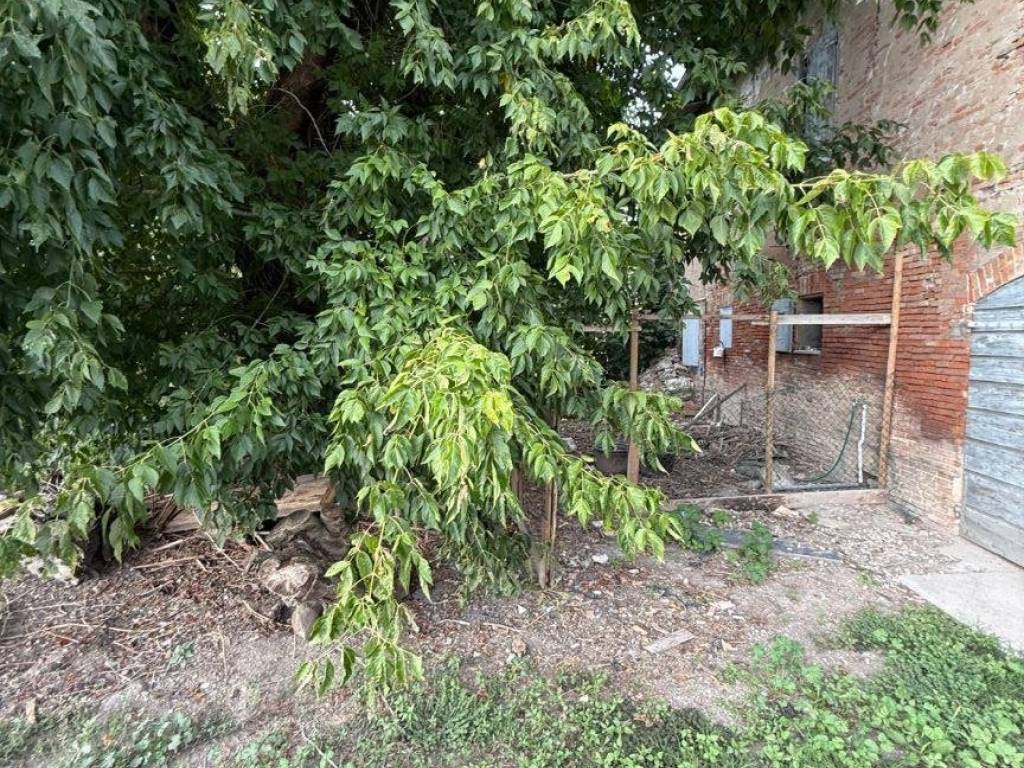Casa indipendente a Bomporto in SORBARA - Foto 3