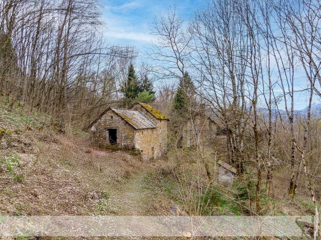 Rustico / casale a Borgo valbelluna in Pian Nogher - Foto 2