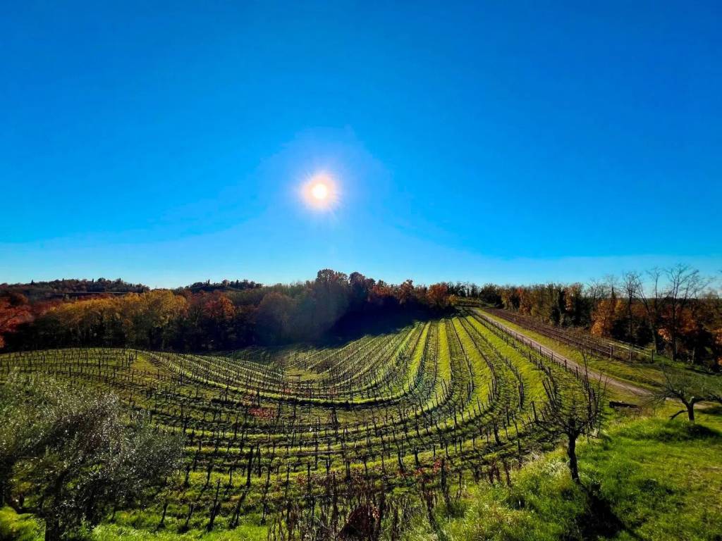 Rustico / casale a Manzano in Località Casali Ottelio - Foto 4