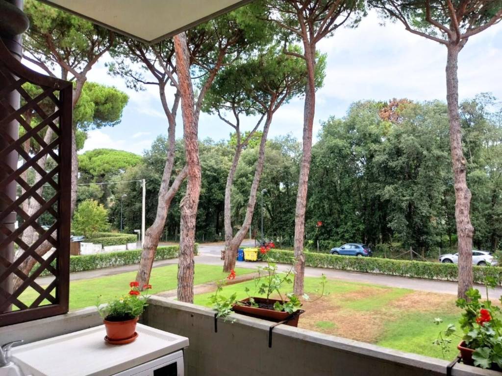 Appartamento a Camaiore - Foto 3