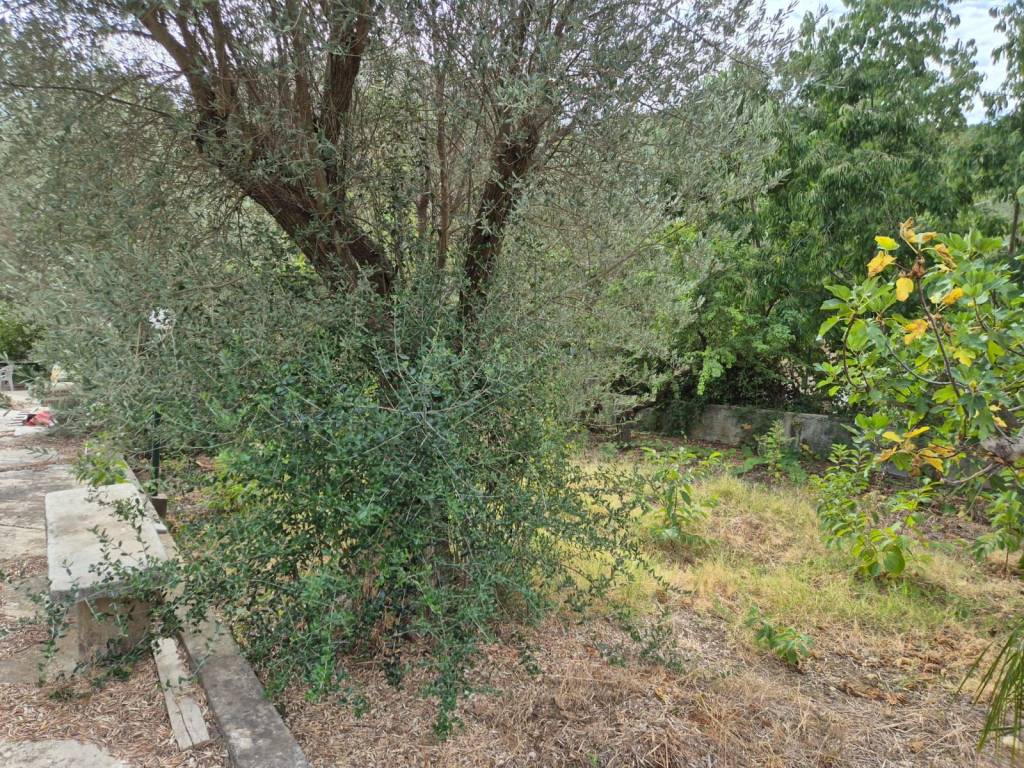 Villa a Carini - Foto 2