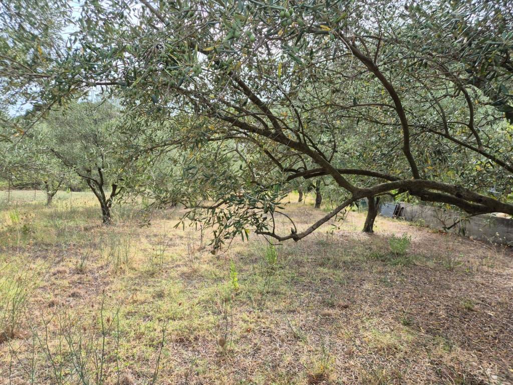 Villa a Carini - Foto 3