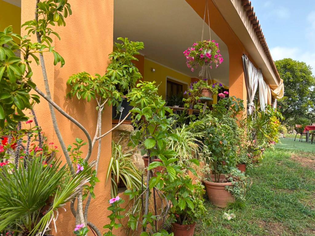 Rustico / casale a Siniscola in Località Berchidda - Foto 4