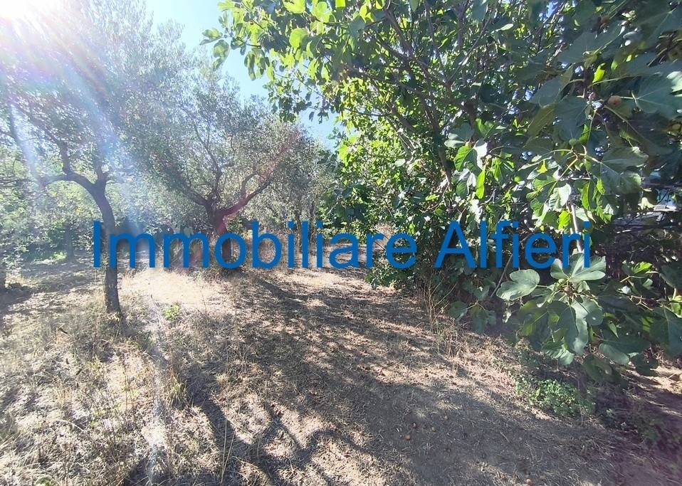 Rustico / casale a San giorgio del sannio in Via Cesine, 10 - Foto 2