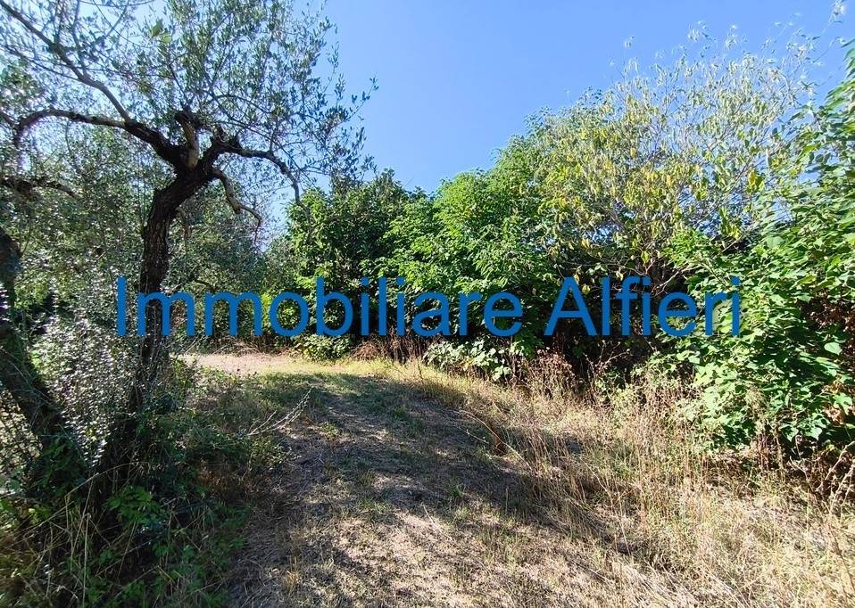 Rustico / casale a San giorgio del sannio in Via Cesine, 10 - Foto 4