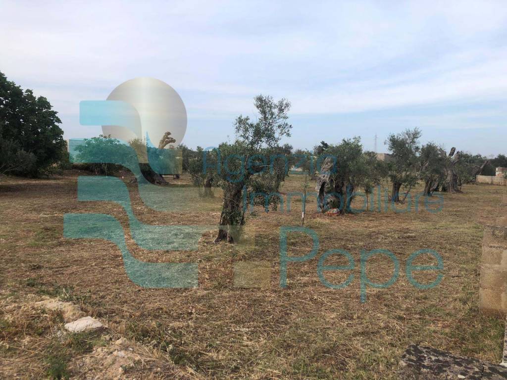 Terreno a Presicce-acquarica in Strada Vicinale delle Grotte - Foto 2