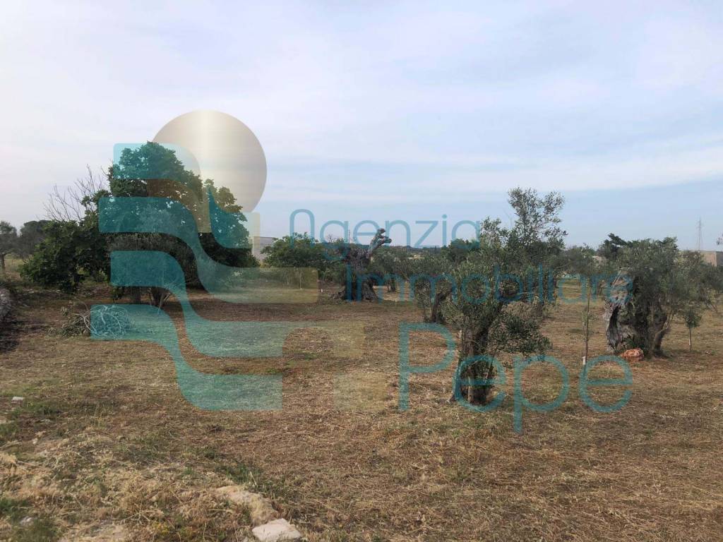 Terreno a Presicce-acquarica in Strada Vicinale delle Grotte - Foto 3