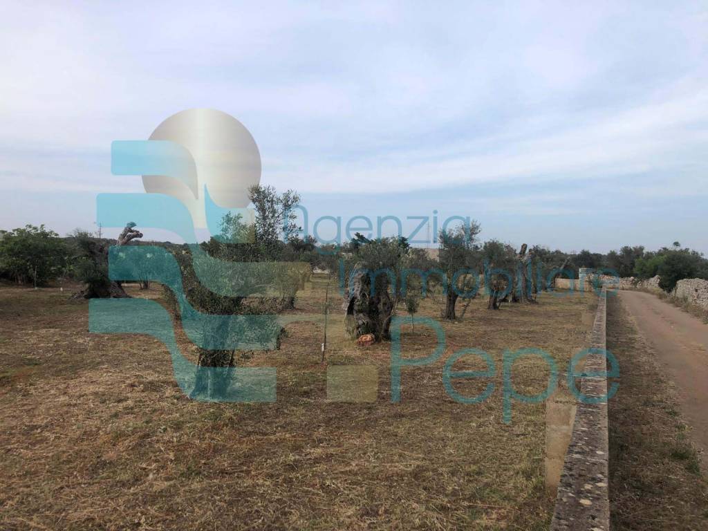 Terreno a Presicce-acquarica in Strada Vicinale delle Grotte - Foto 4