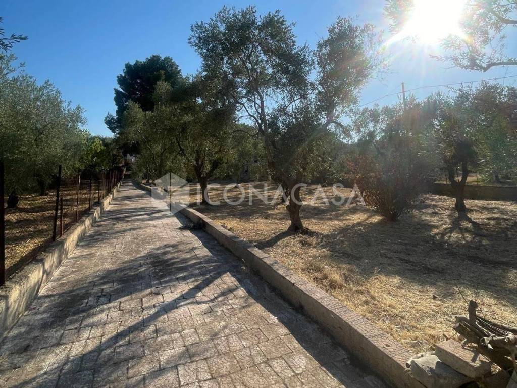 Appartamento a Trani in Via Guido Malcangi - Foto 3