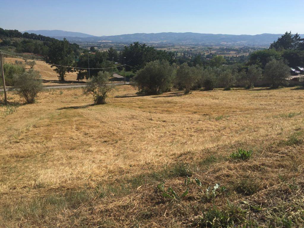 Terreno a Assisi in Via Assisana - Foto 2