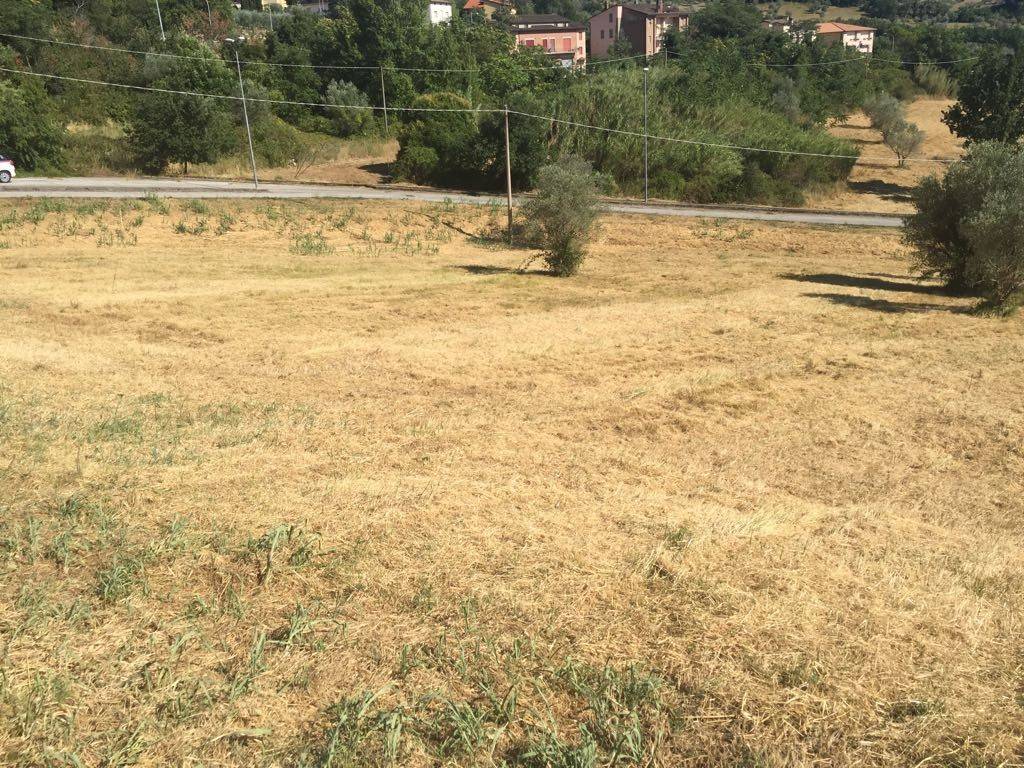 Terreno a Assisi in Via Assisana - Foto 3