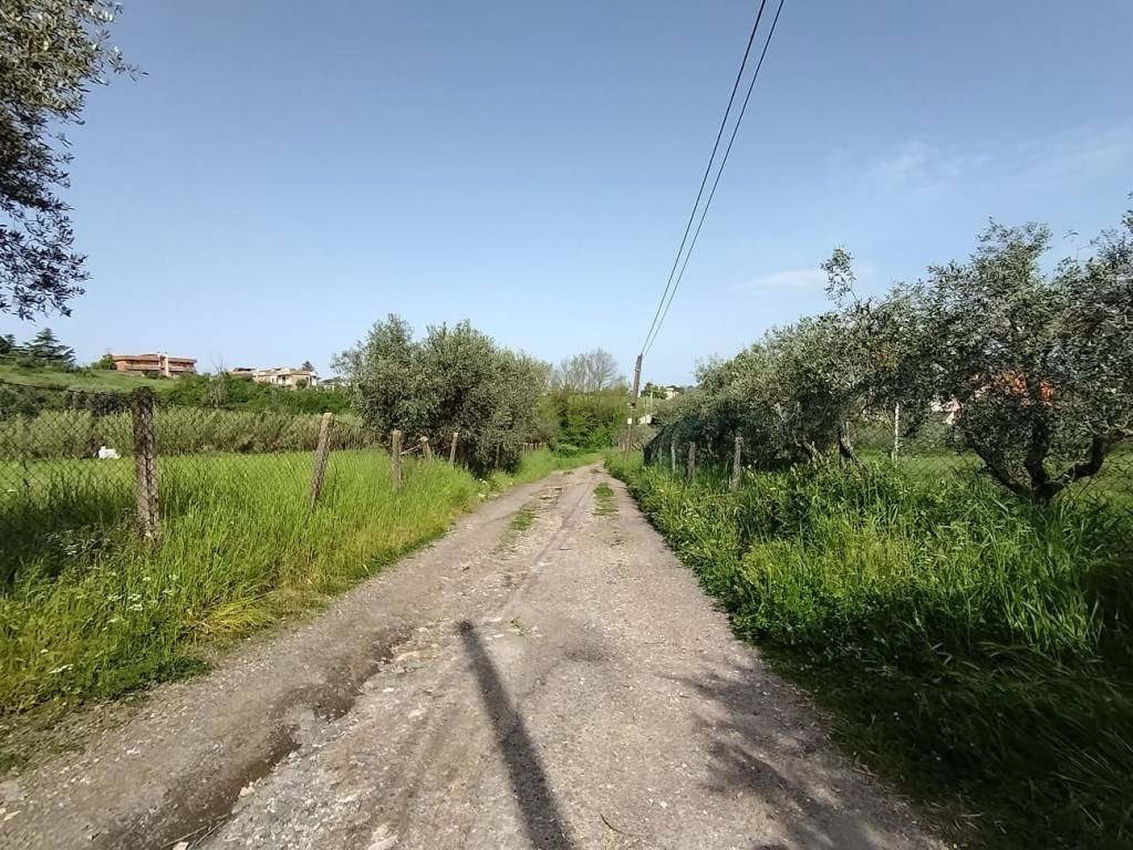 Terreno a Roma in Via del Ponte di Pantano - Foto 3