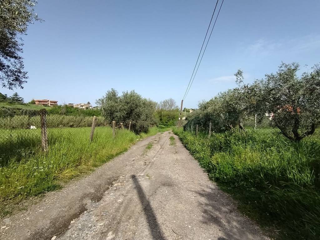 Terreno a Roma in Via del Ponte di Pantano - Foto 4