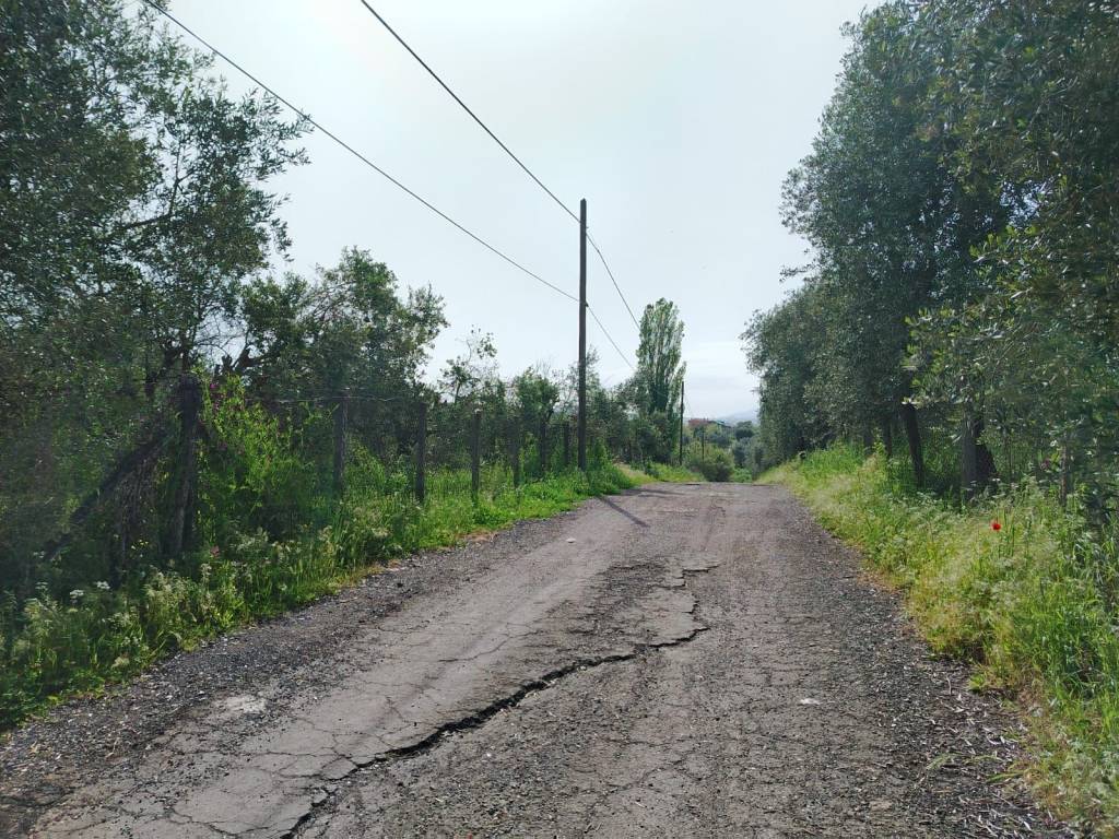 Terreno a Roma in Via del Ponte di Pantano - Foto 5