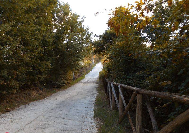Terreno a Carsoli in strada comunale - Foto 4
