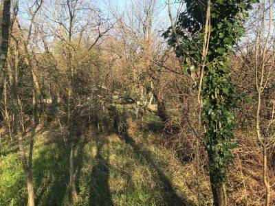 Terreno a Duino-aurisina - Foto 5