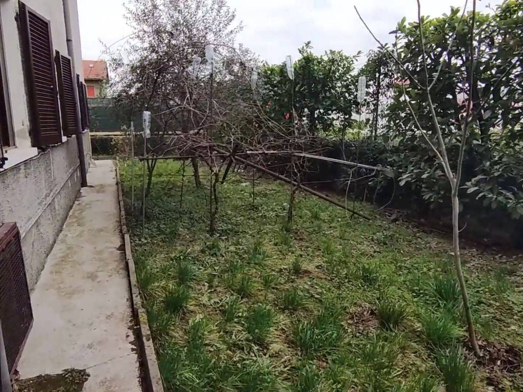 Appartamento a Gorla maggiore - Foto 3