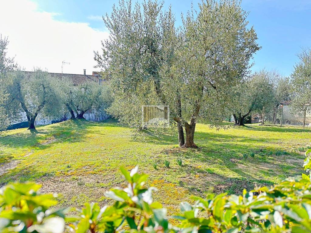 Rustico / casale a Fabro - Foto 2