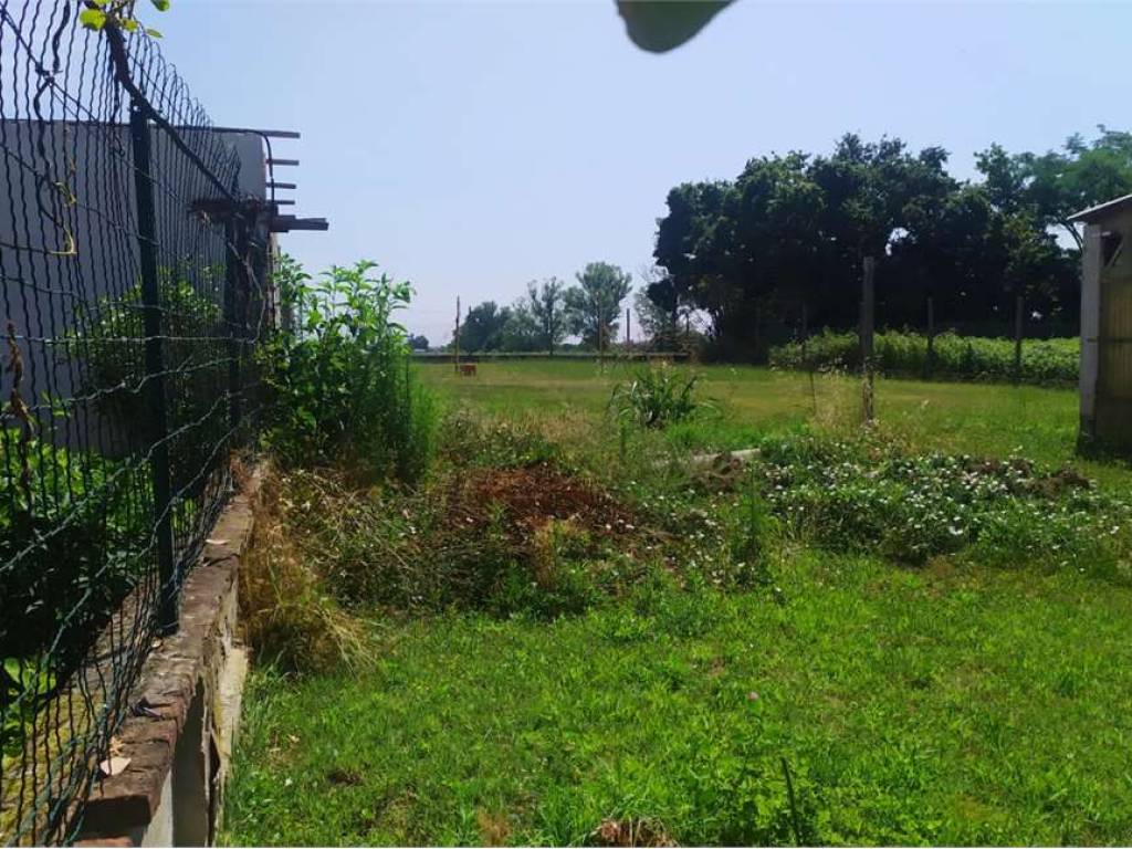 Rustico / casale a Castel san giovanni - Foto 3