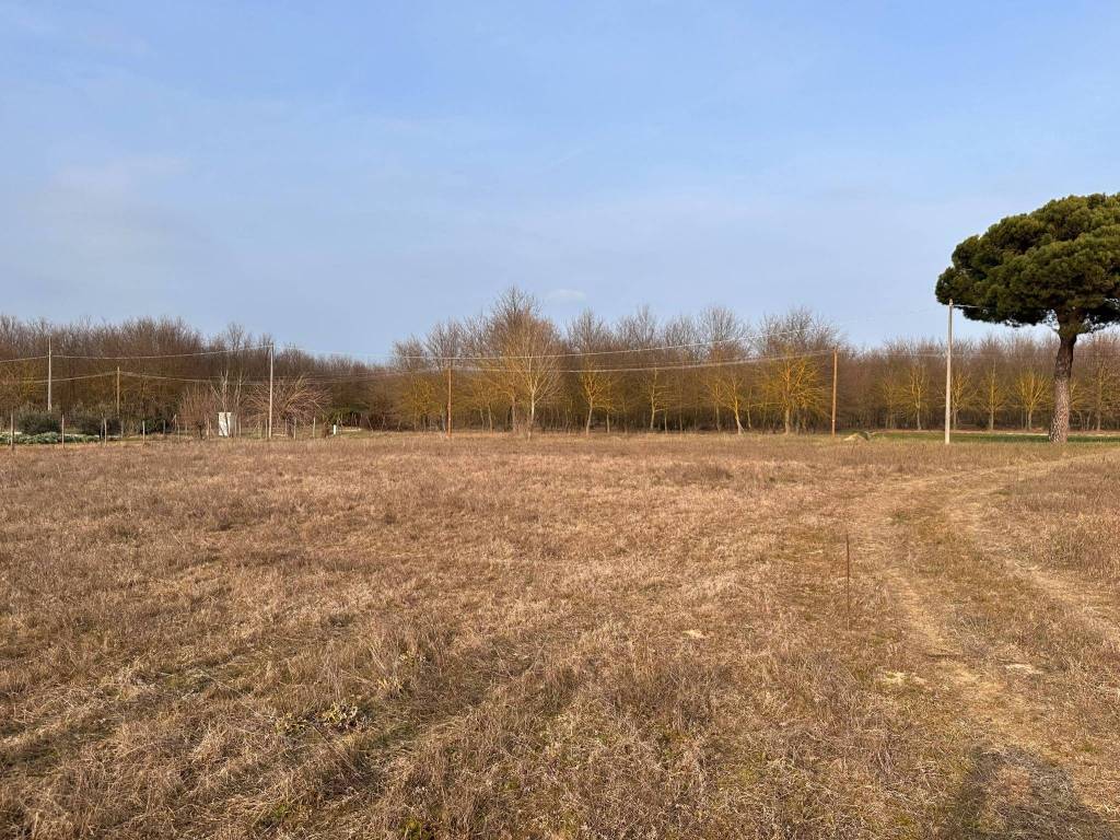 Terreno a Castiglione del lago in Via Vitellino - Foto 3
