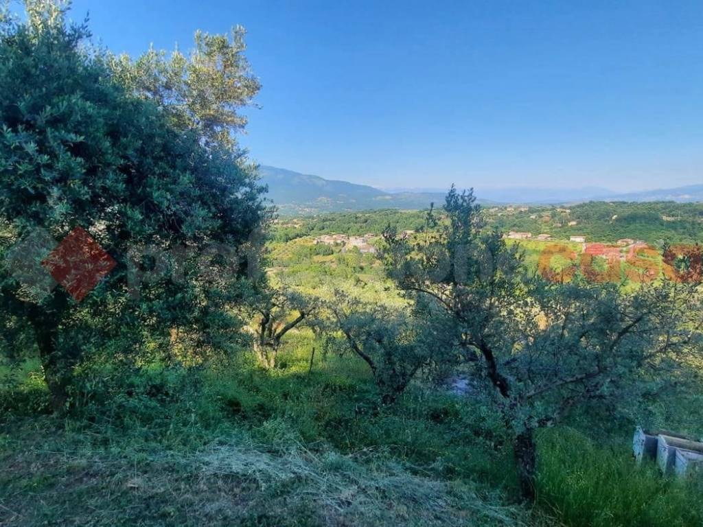 Casa indipendente a Veroli in viale della rimembranza, 10 - Foto 3