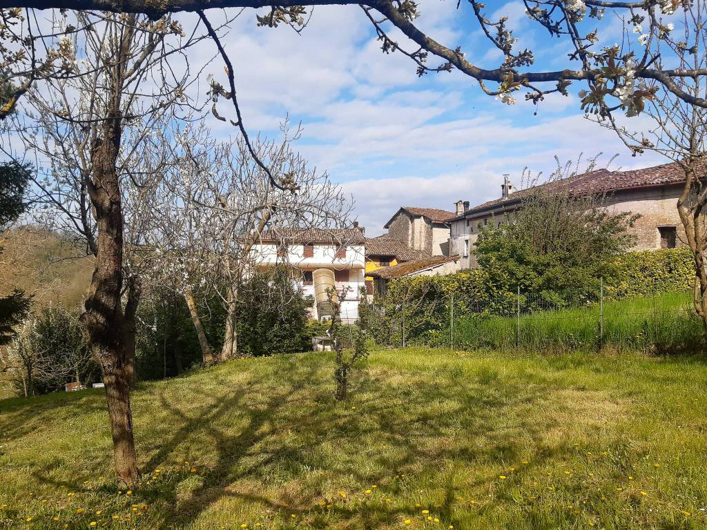 Rustico / casale a Avolasca in Frazione Oliva - Foto 3