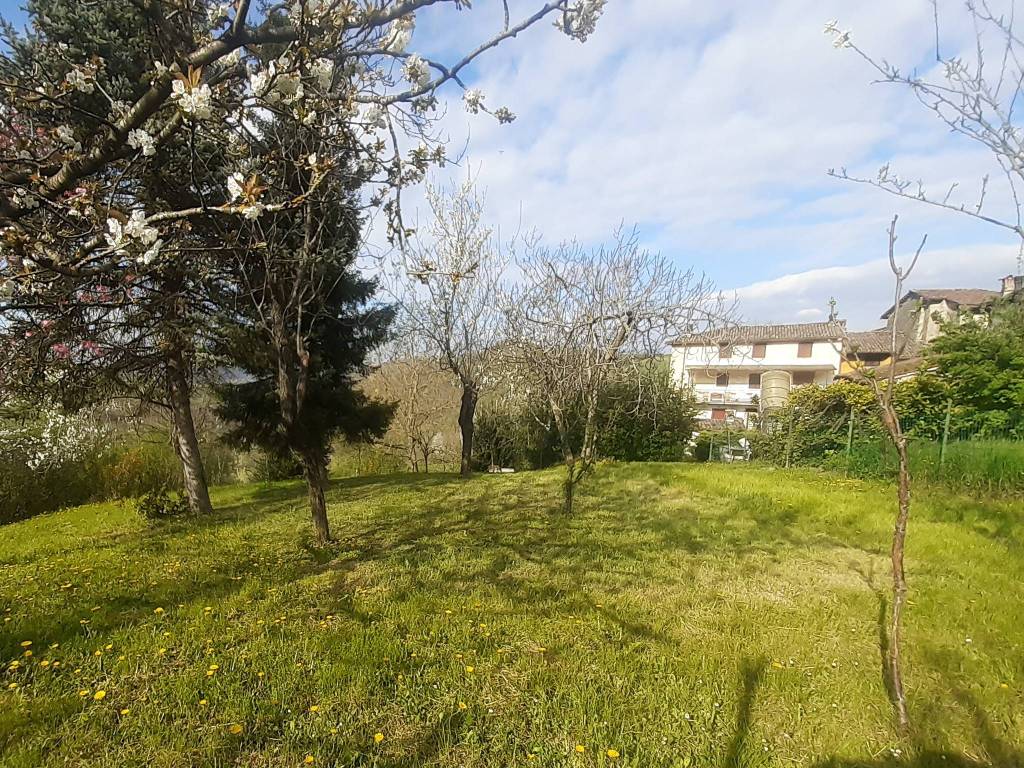 Rustico / casale a Avolasca in Frazione Oliva - Foto 4
