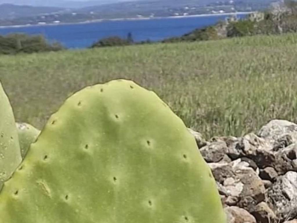 Terreno a Carloforte in SP103 - Foto 4