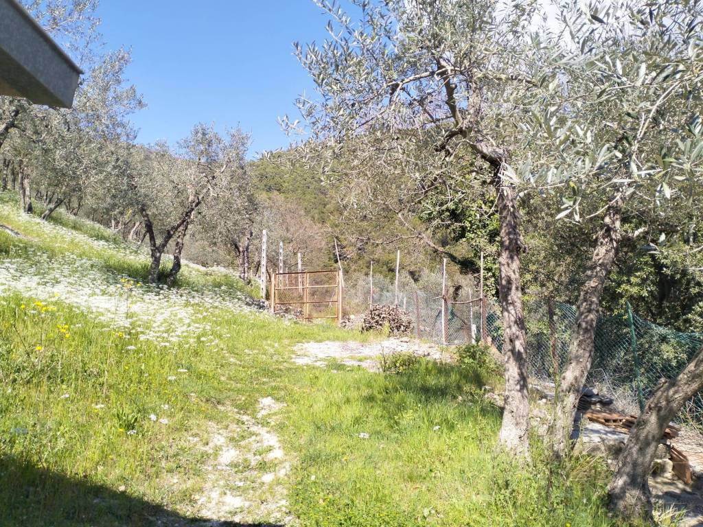 Terreno a Arrone in Località Rosciano - Foto 2