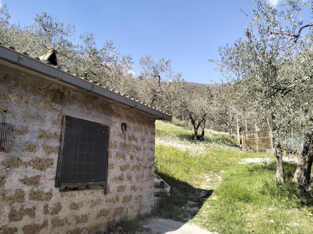 Terreno a Arrone in Località Rosciano - Foto 4