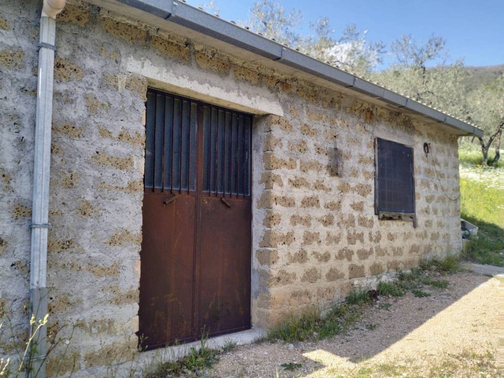 Terreno a Arrone in Località Rosciano - Foto 5