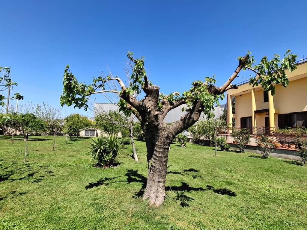 Villa a Sarno - Foto 4