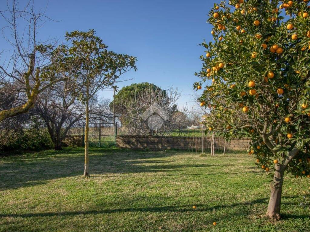 Villa a Montalto di castro in Strada Vitellonara, 16 - Foto 5